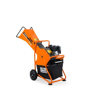 MESTRO CITY